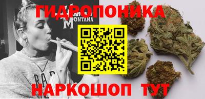 эйфоретик Нальчик