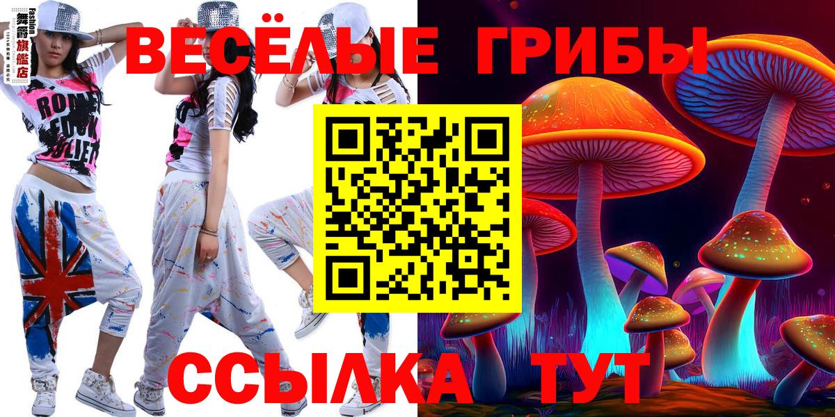 Галлюциногенные грибы мухоморы Строитель