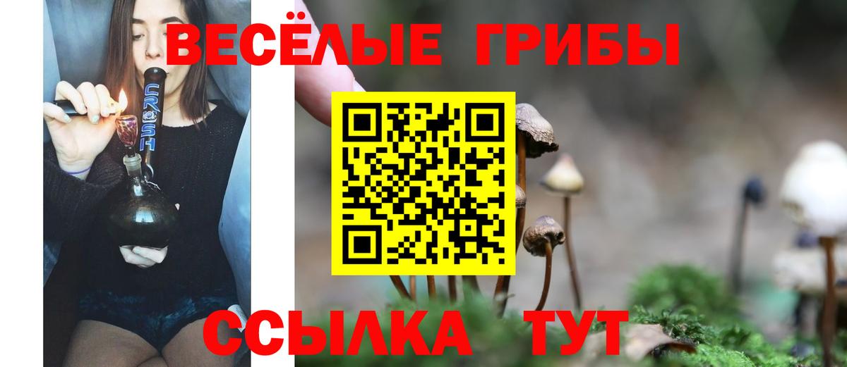 Галлюциногенные грибы мухоморы  Вход с VPN  Строитель 